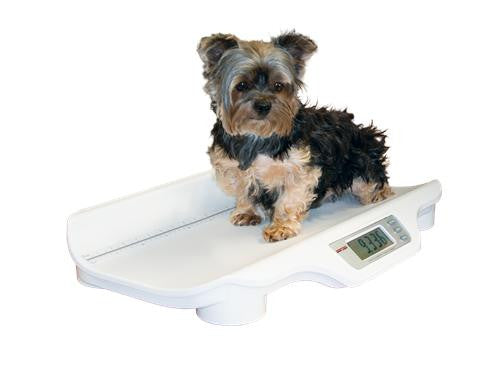 Ricelake VS-11 Digital Small Animal Scale, 22/44 lb x 0.2/0.5 lb