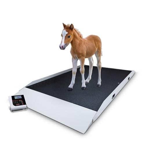 Ricelake VS-40 Dual-ramp Large Animal Scale, 1000 lb x 0.2 lb