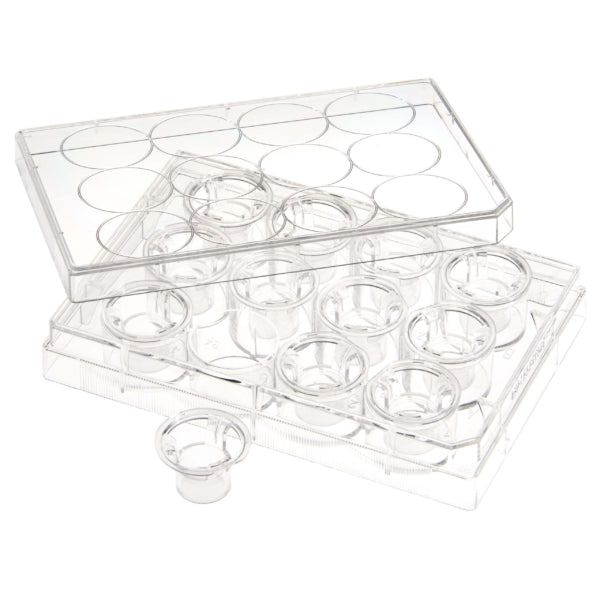 CELLTREAT 230615 Permeable Cell Culture Inserts, Packed in 12 Well Plate,  Hanging, PC, 0.4µm, Sterile, 24/pk