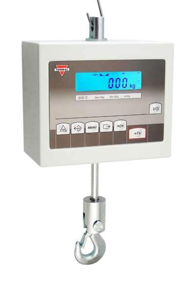 Digital Weighing Crane Scales for Sale