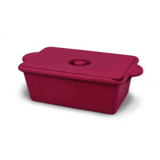Heathrow Scientific 28729R Cool Container, 9 L Ice Pan, Red 38.0x23.0x13.5 cm (rectangle)