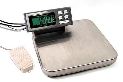 TREE PIZA 12 Bench Scale